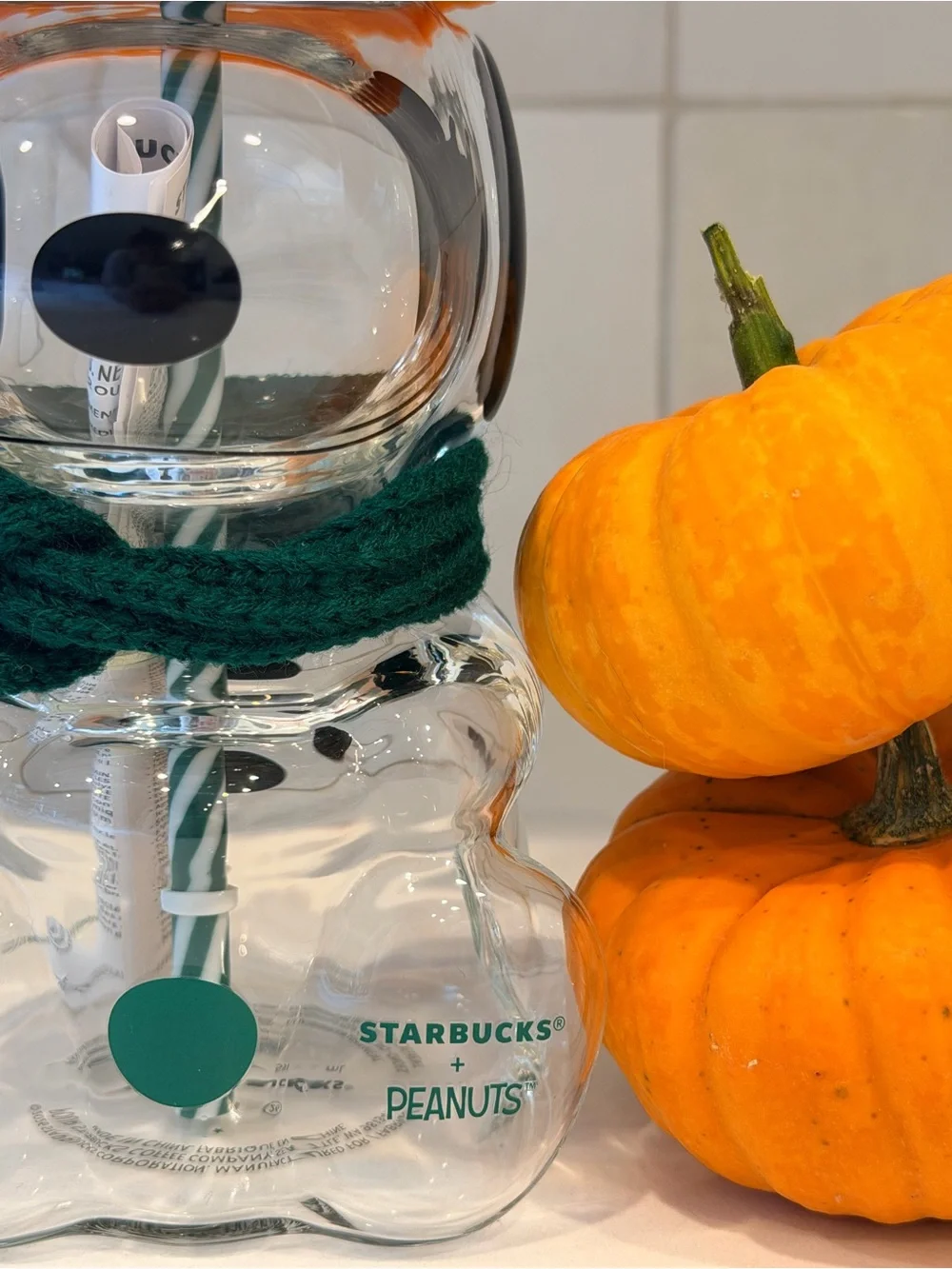 Starbucks x Peanuts Snoopy Glass Cup ✨🥜
